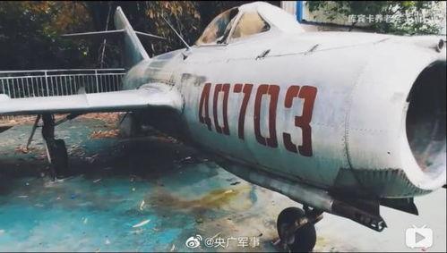 飞机上有明星网红吗,揭秘飞机上的明星网红风采