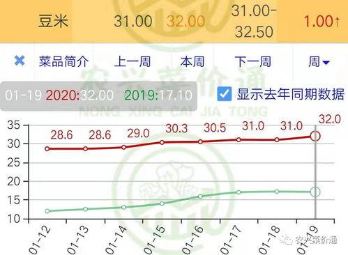 今日小瓜价位行情走势,今日走势解析，价格波动背后的市场动态