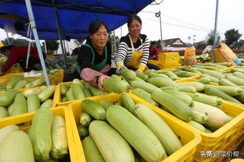 寿光籽瓜今日价格,市场行情一览”