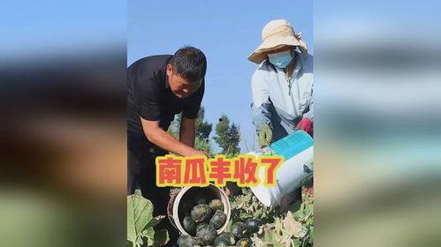 吃瓜收获今日快乐下一句,收获今日好心情