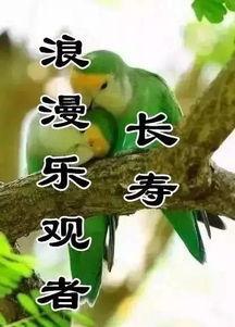 吃瓜收获今日快乐下一句,收获今日好心情