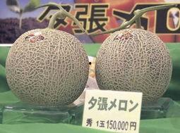 高碑店蜜瓜今日价格行情