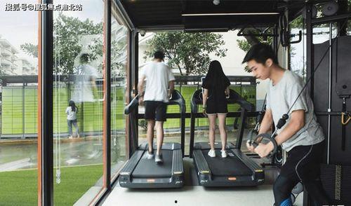 黄连鸡瓜连统货今日价格,市场动态一览”