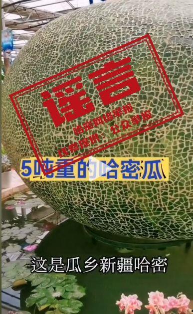 今日大瓜墙,揭秘娱乐圈最新热点事件