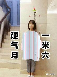 明星网红同台差距沈月,沈月展现独特魅力，差距引人瞩目