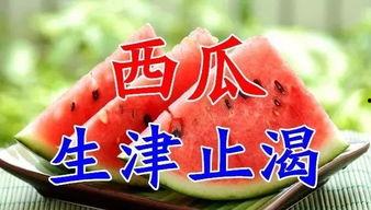 今日入伏吃三瓜,三瓜助你清凉度夏