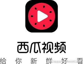 抖音今日的瓜,揭秘最新瓜皮事件