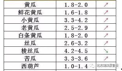 今日瓜菜价格走势,市场动态一览