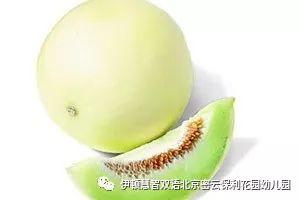 白兰瓜今日价格,市场动态一览