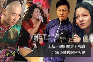 负债的明星网红是谁,揭秘背负巨额债务的当红明星网红