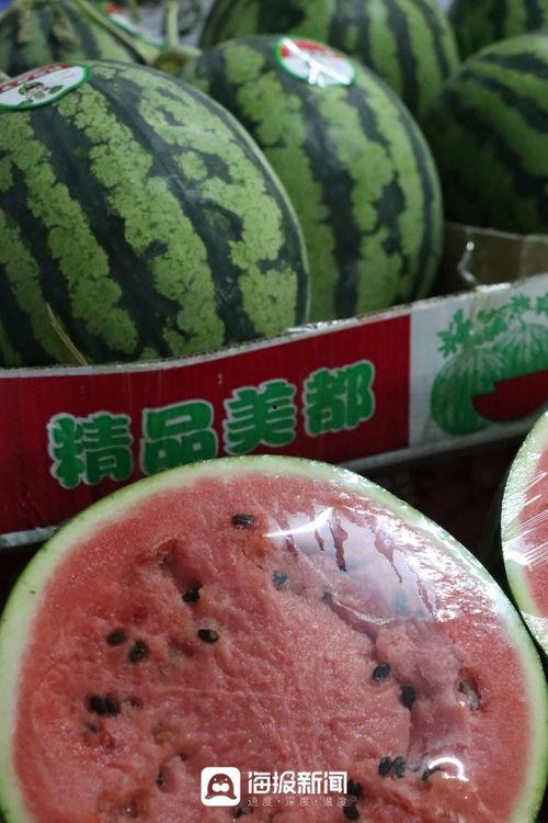 甜王瓜今日价格表,市场行情一览