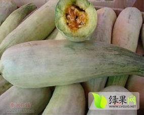 山东单县脆梨瓜今日价格,价格行情一览