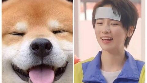 男生大明星网红图片,揭秘网红男生大明星的时尚魅力