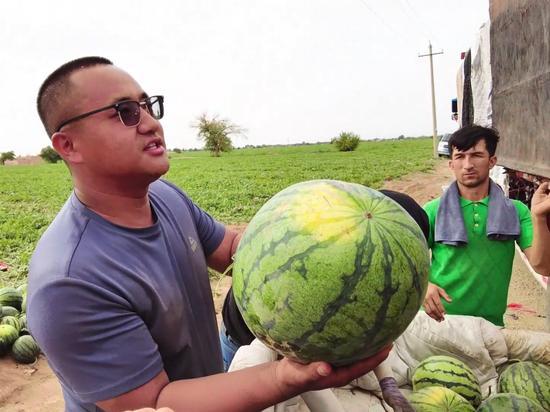每日吃瓜今日大瓜,热点事件深度解析