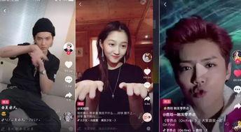 明星网红抱团视频大全播放,视频大全播放量爆表！