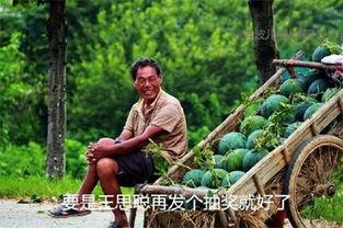51吃瓜今日吃瓜二舅,揭秘今日热门话题“吃瓜二舅”背后的故事