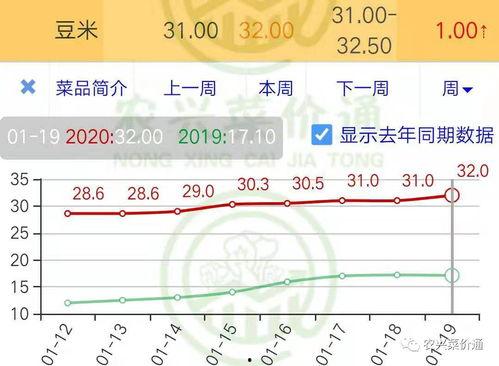 小瓜今日行情最新消息,今日最新价格动态一览