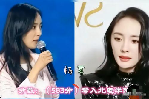 明星网红录播在哪里看,揭秘明星网红录播热门观看平台大盘点