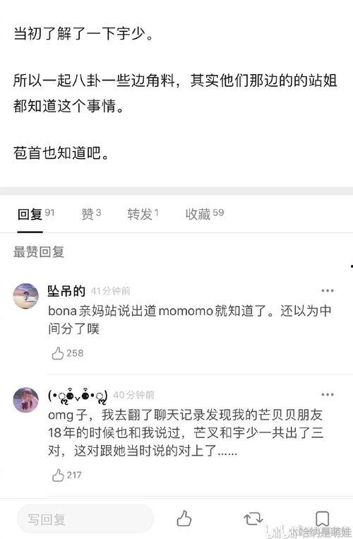 今日爆料在线吃瓜,在线吃瓜，揭秘娱乐圈幕后真相