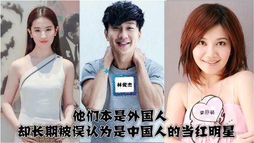 外国人评论明星网红,全球粉丝眼中的璀璨星辰