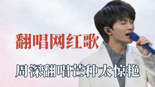 歌曲明星网红有哪些名字