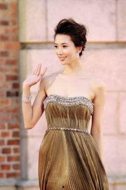 歌曲明星网红有哪些名字