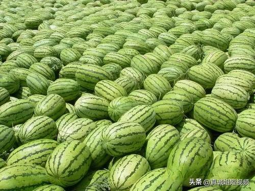 今日吃瓜必吃大瓜每日分享