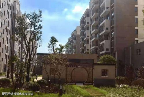 瓠瓜今日行情价格表最新