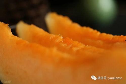 进口蜜瓜今日份到货时间,进口蜜瓜，尽享夏日甘甜时光