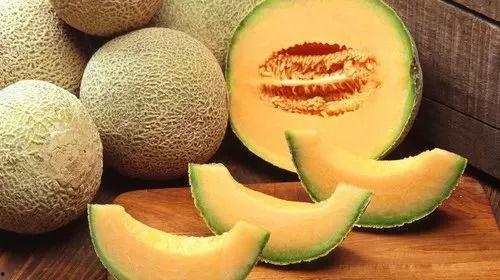 2024甘肃哈密瓜今日价格行情