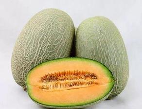 脆甜哈密瓜今日价格,市场行情一览”