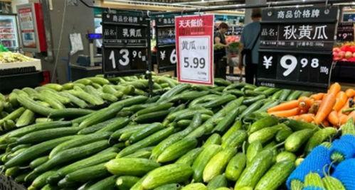 今日菜同瓜价格