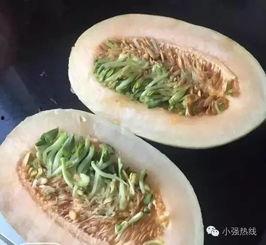 嘉兴市哈密瓜今日价格,品质佳品，实惠之选