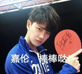 明星网红去澳门干嘛了,娱乐狂欢背后的故事