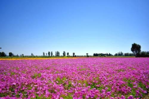 今日瓜州三道沟新闻