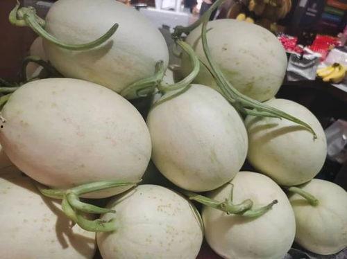 玉菇瓜今日价格,市场行情一览”