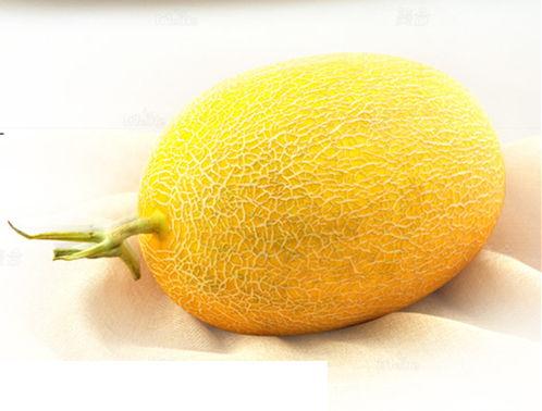 哈密瓜价格今日价,市场行情一览”