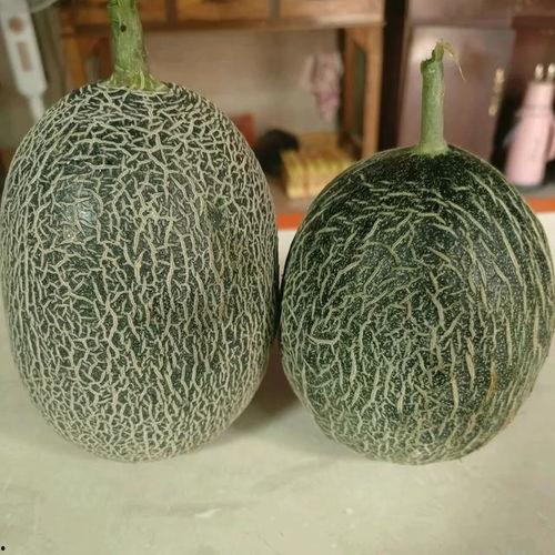 哈密瓜价格今日价,市场行情一览”