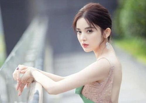 新疆的明星网红是谁呀