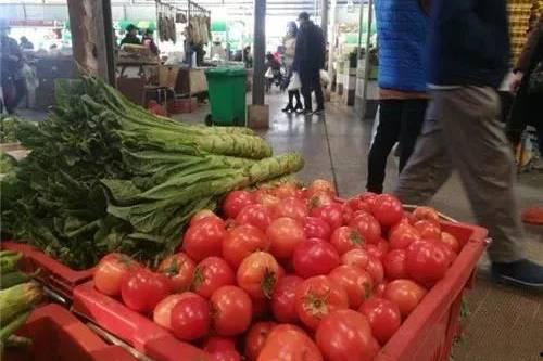 昆明今日土瓜价格多少钱一斤,行情一览