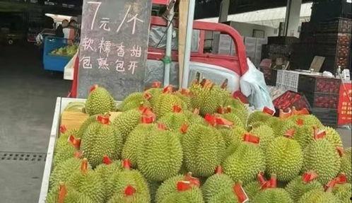 昆明今日土瓜价格多少钱一斤,行情一览