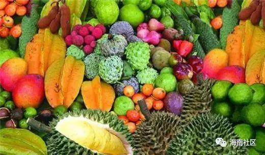 海南吊瓜今日行情,丰收季里的价格波动与市场动态