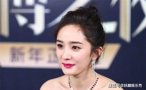 明星网红成名的有哪些,揭秘明星网红的成名之路