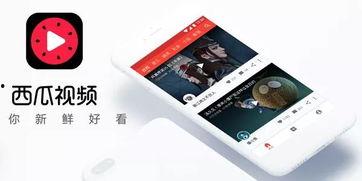 今日头条官瓜最新消息