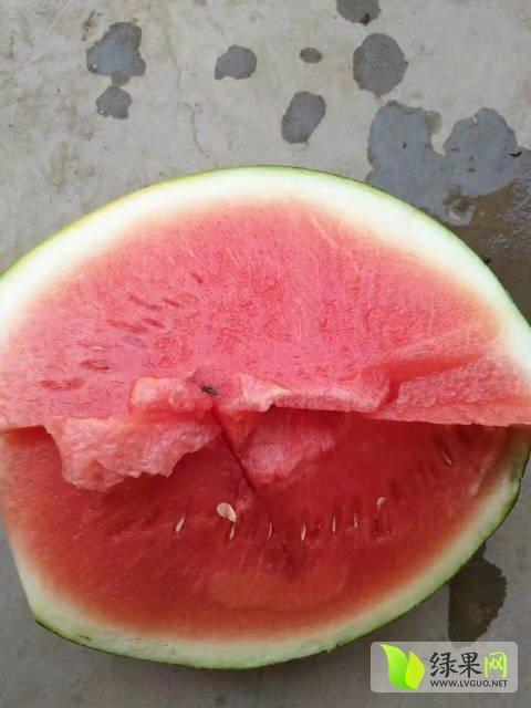 今日中牟吊瓜价格多少钱,行情动态一览