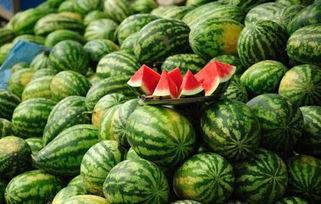 今日博阳瓜价格,新鲜瓜果市场动态一览