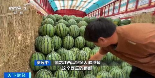 今日吃瓜缅北群,一场网络社交的狂欢盛宴