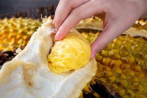 今日吃瓜缅北群,一场网络社交的狂欢盛宴