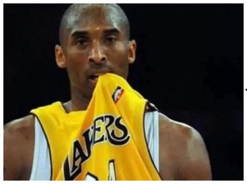 明星网红评价科比视频,明星网红齐聚致敬篮球巨星