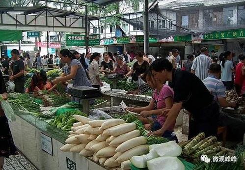匡山蔬菜批发市场佛手瓜今日价格